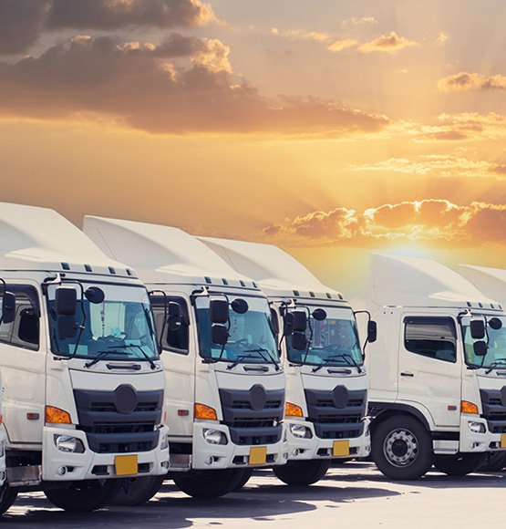 Fleet of parked white trucks with sunset background